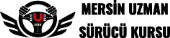 siyah logo